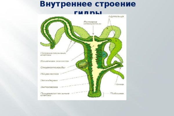 Кракен даркнет ссылка зеркало