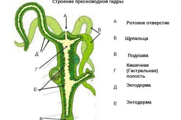 Кракен это сайт